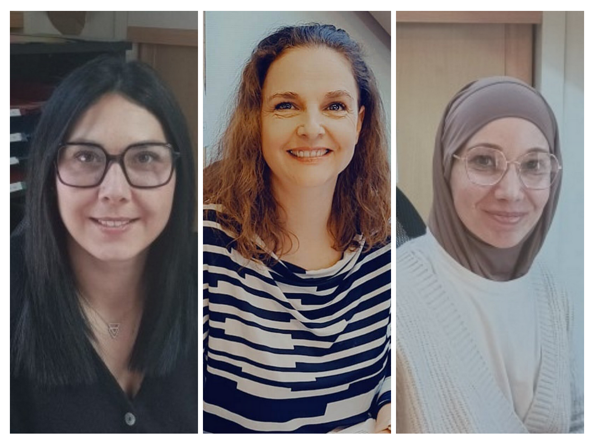 Secteur Agglomérations annemassiennes,  Giffres, Voirons et Chamonix  